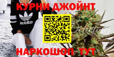 крисы Партизанск