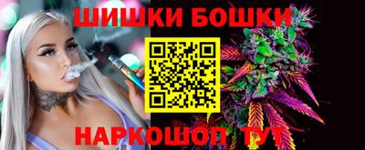 крисы Партизанск