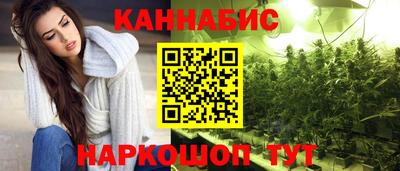 крисы Партизанск