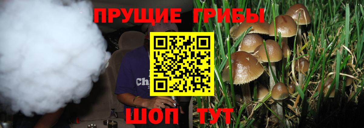 где купить наркотик  Псилоцибиновые грибы MAGIC MUSHROOMS  Псилоцибиновые грибы Cubensis  Вход с VPN  Соль-Илецк 